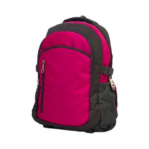 Model B Backpack
